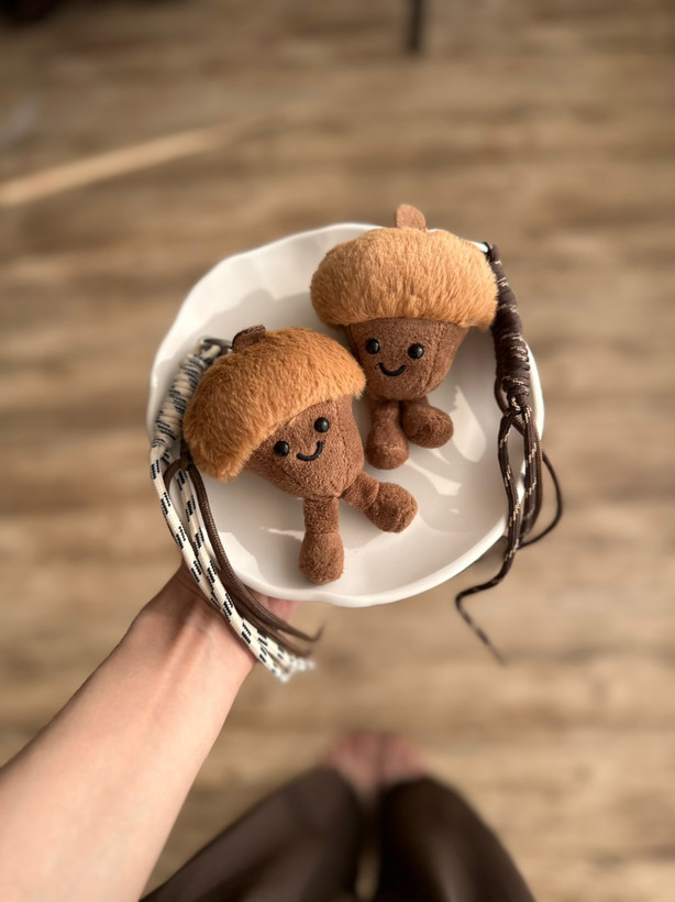 چارم بگ (آویز )